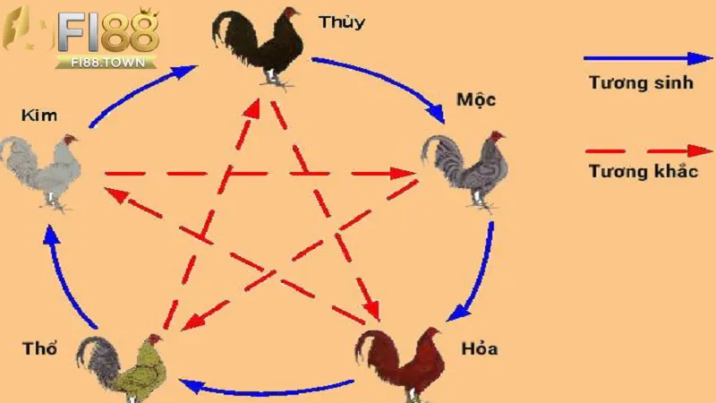 Màu Sắc Tương Ứng Với Mạng Gà Fi88 - Bí Quyết Chọn Kèo Thắng Lớn - id Mối liên hệ giữa màu sắc và yếu tố phong thuỷ trong đá gà tại Fi88